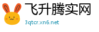 飞升腾实网